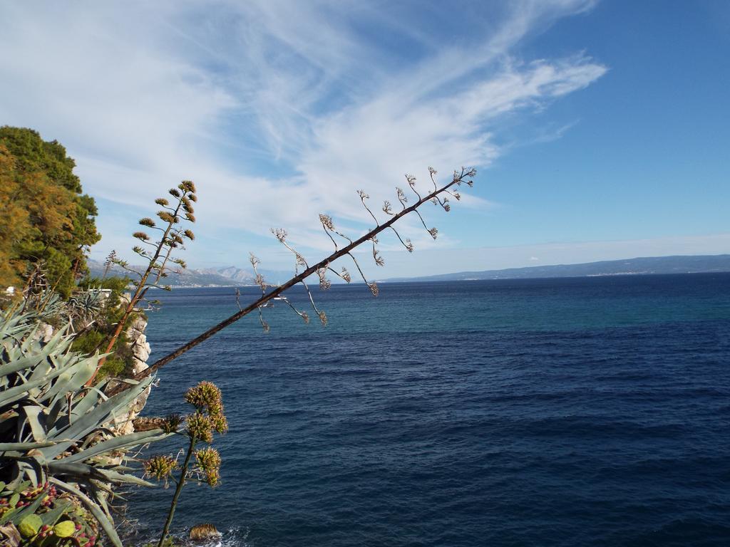 Apartments Sea Star Ivana Marina Δωμάτιο φωτογραφία